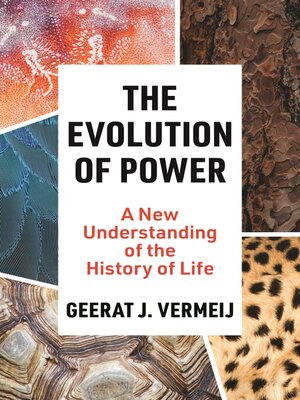cover image of The Evolution of Power